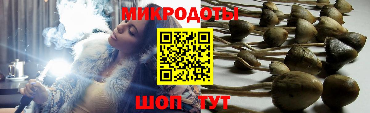 Галлюциногенные грибы MAGIC MUSHROOMS  Вход с VPN  где купить наркотик  Севастополь 