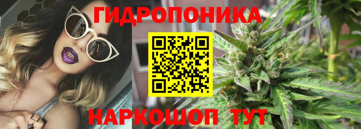 Каннабис AK-47  Бошки марихуана OG Kush  Вход с VPN  Севастополь  Бошки Шишки AK-47 